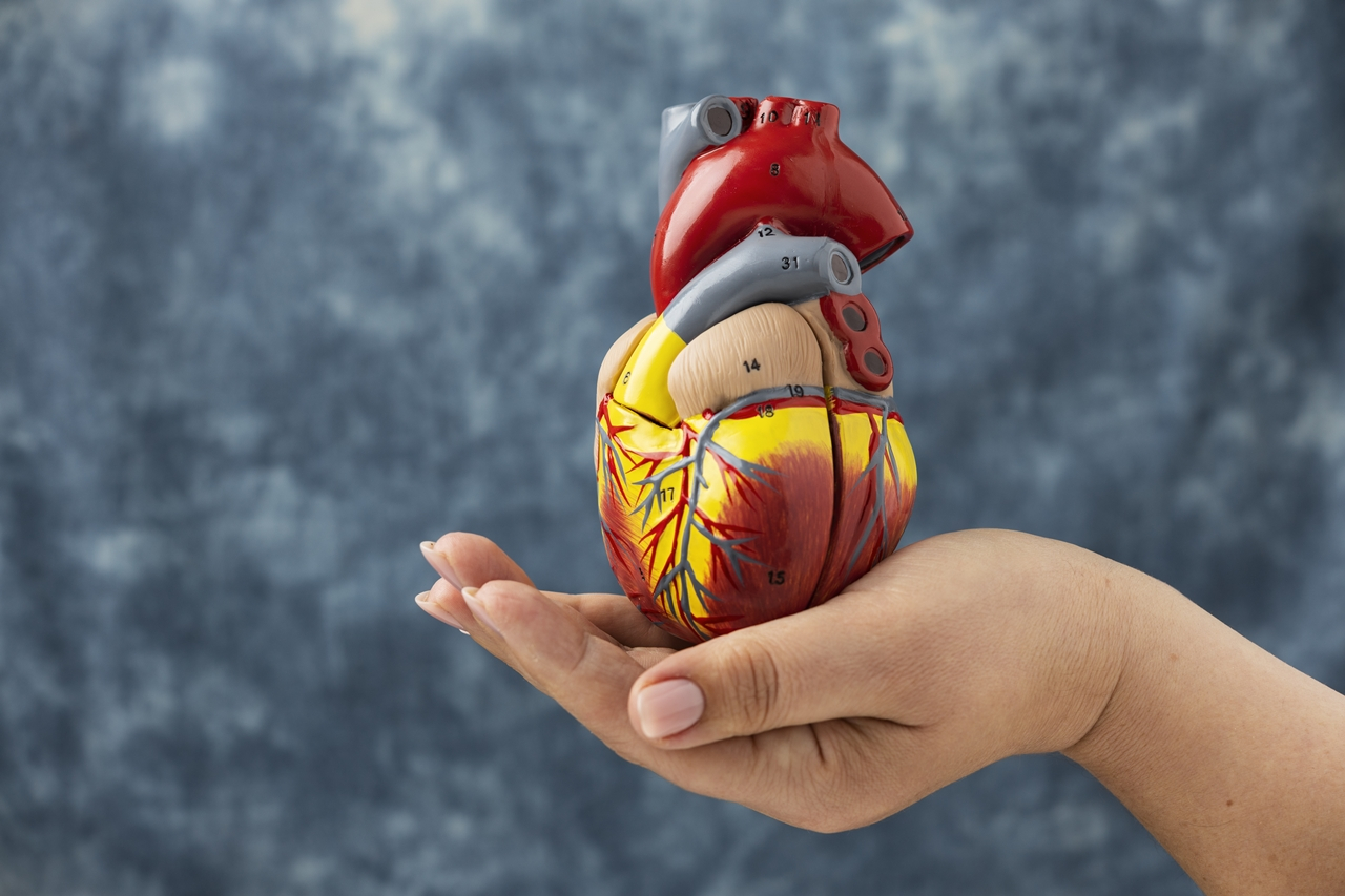 Stroke, szívinfarktus: az LDL koleszterin részleges felmentése