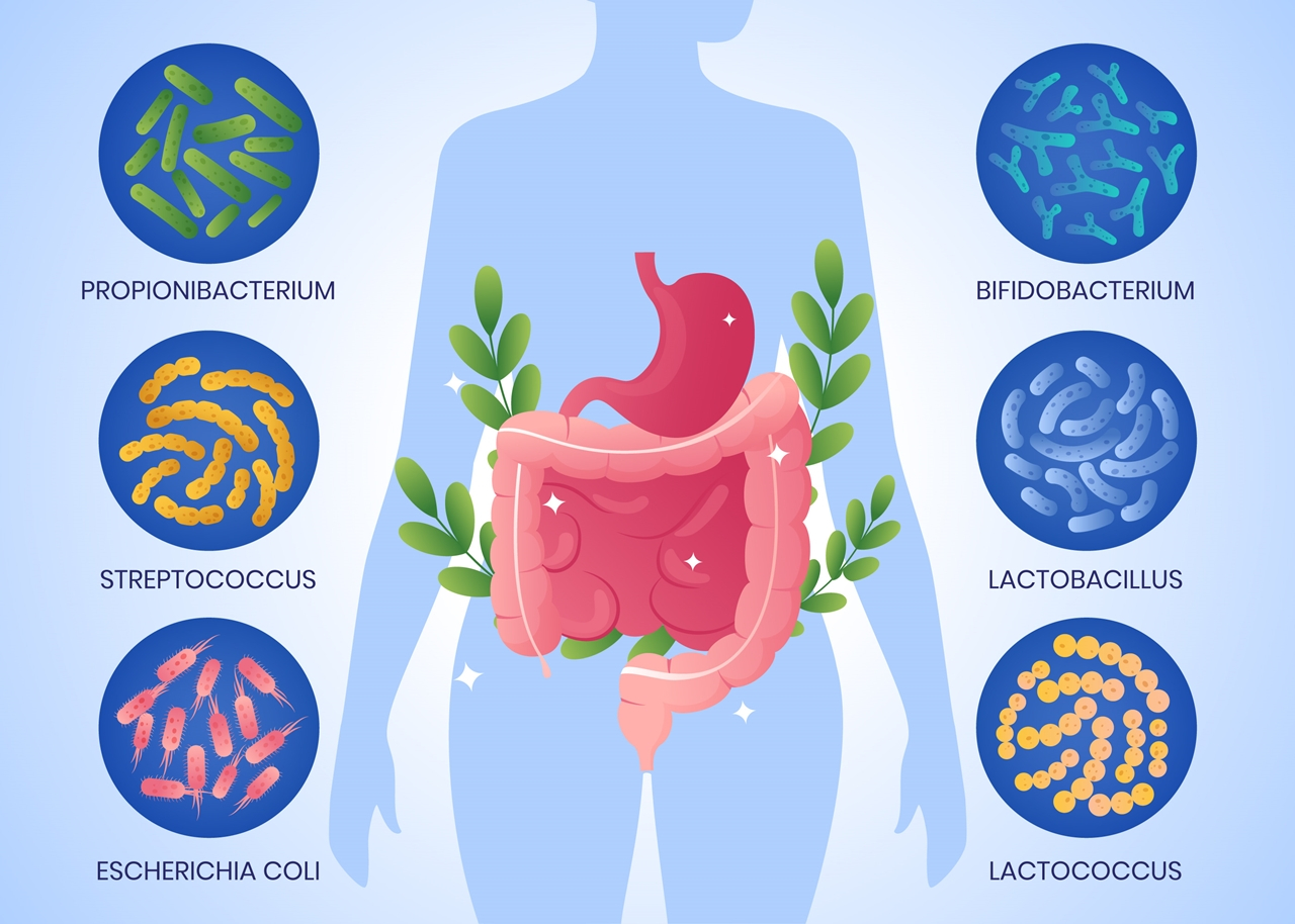 Mikrobiom - milyen baktériumok vannak bennünk?